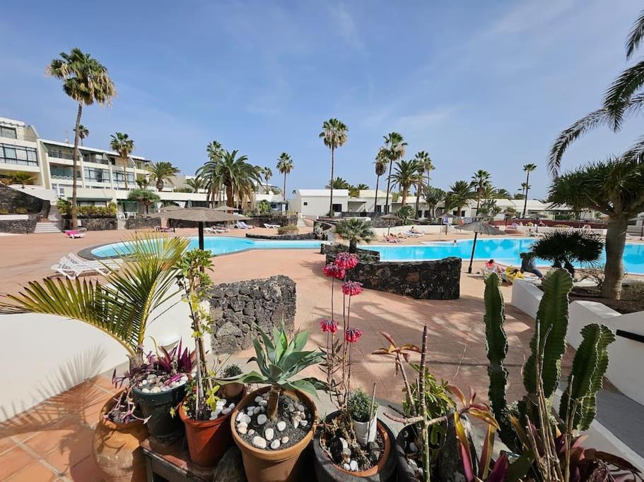 Apartamento Taisa Playa Roca Costa Teguise Dış mekan fotoğraf